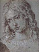 Albrecht Durer THe Head of christ at age twelve oil painting on canvas